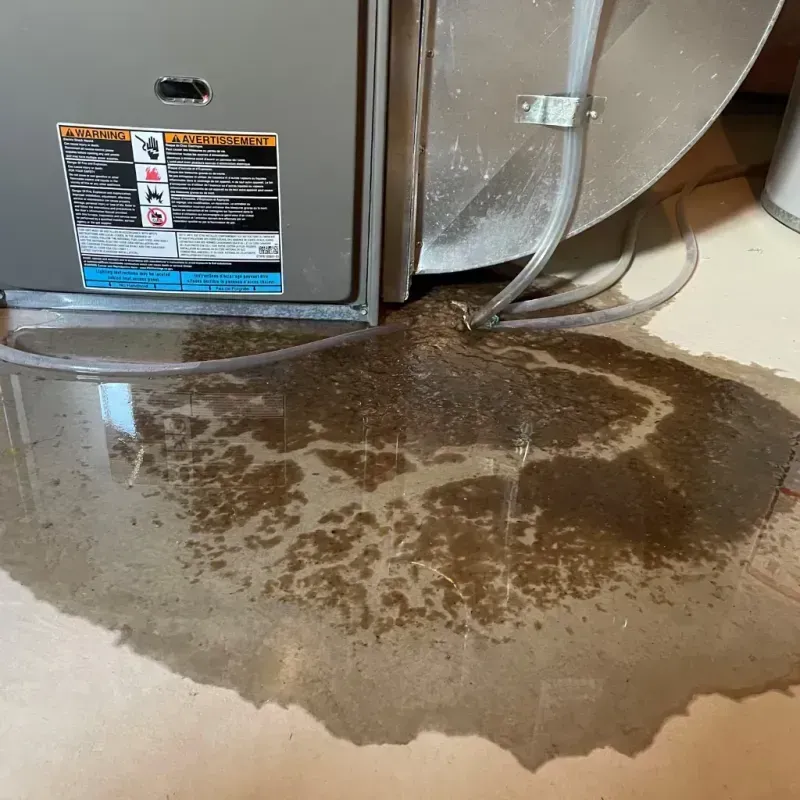 Appliance Leak Cleanup in Weldon, NC